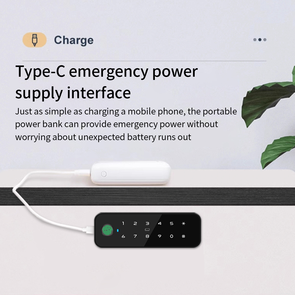 Tuya 블루투스 스마트 우드 캐비닛 지문 잠금 앱 원 - Smart Home Key 리뷰 및 가격